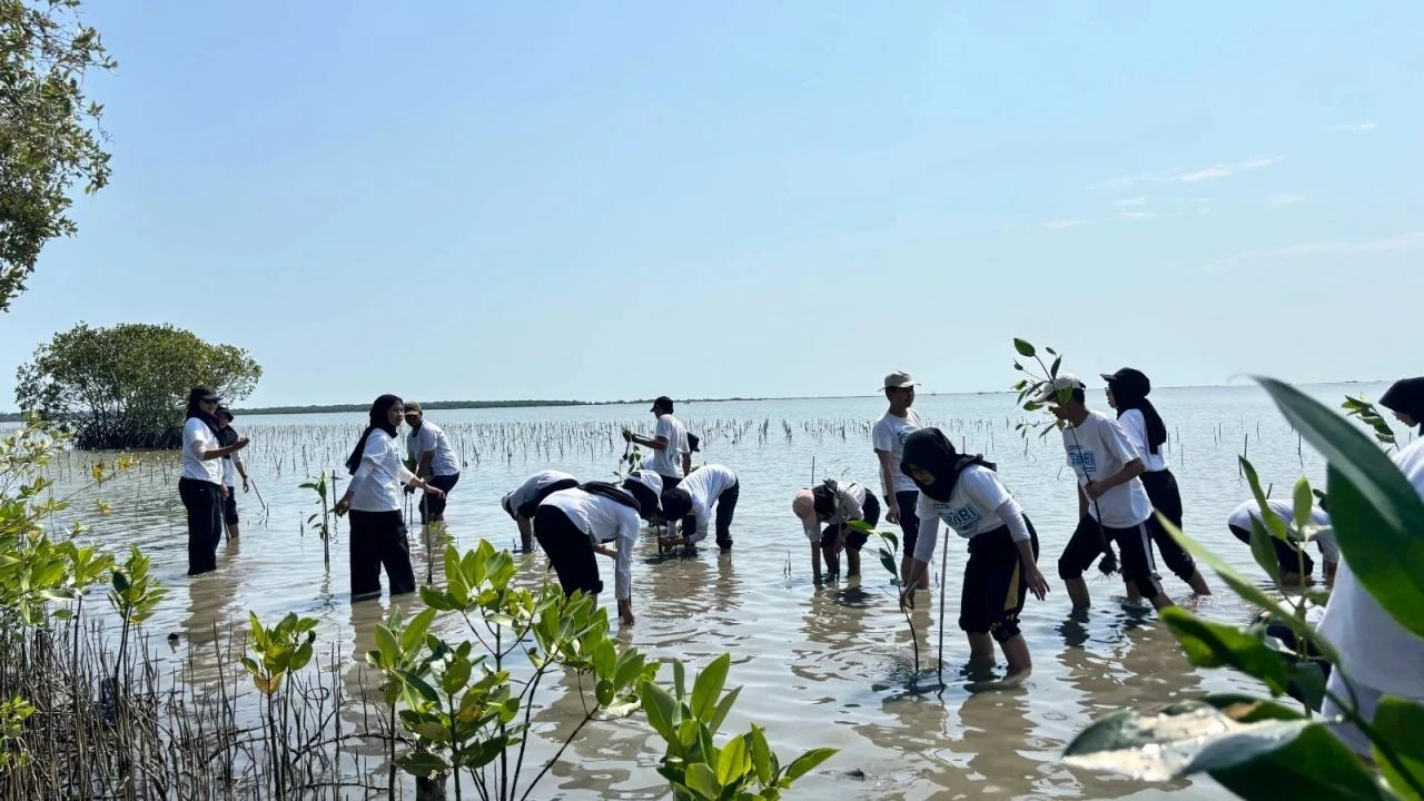 genbi_mangrove