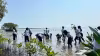 genbi_bakau_07